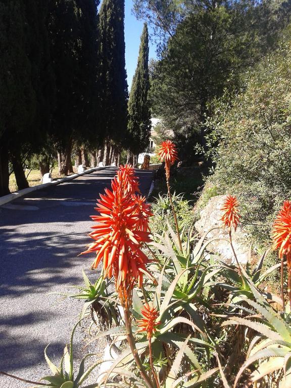 Villa Los Angelitos Marbella